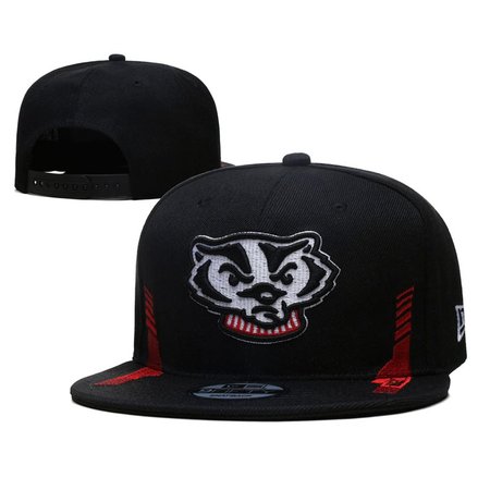 Wisconsin Badgers Snapback Hat